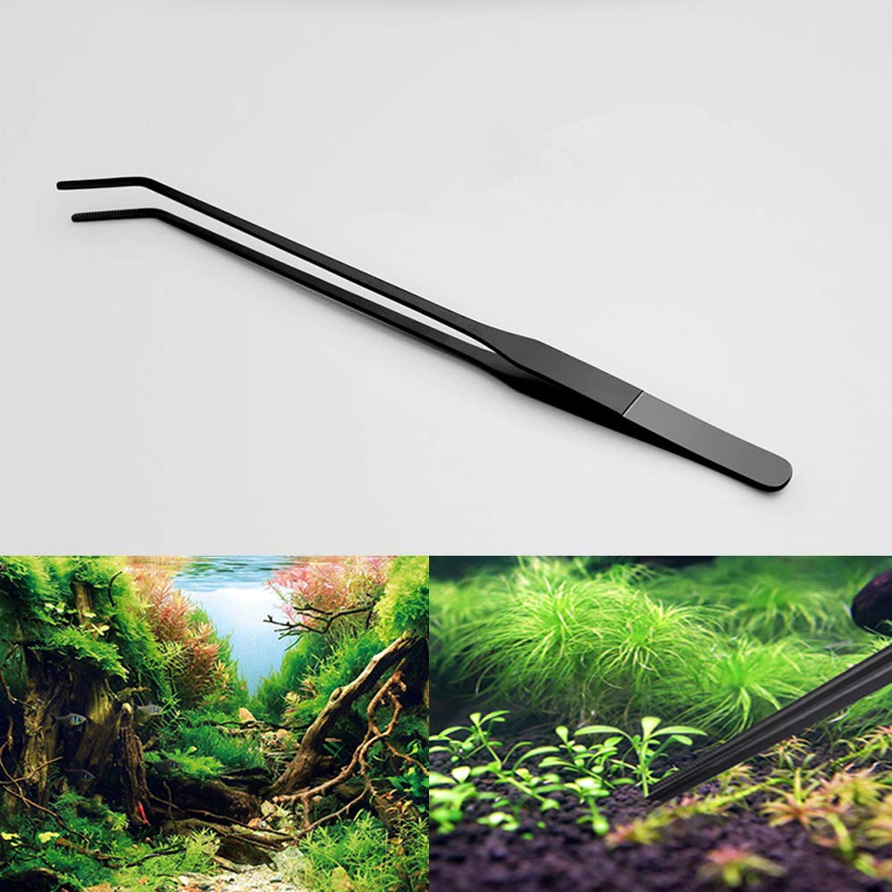 EvaGO Curved Aquarium Tweezers – 15-Inch Stainless Steel Feeding Tongs