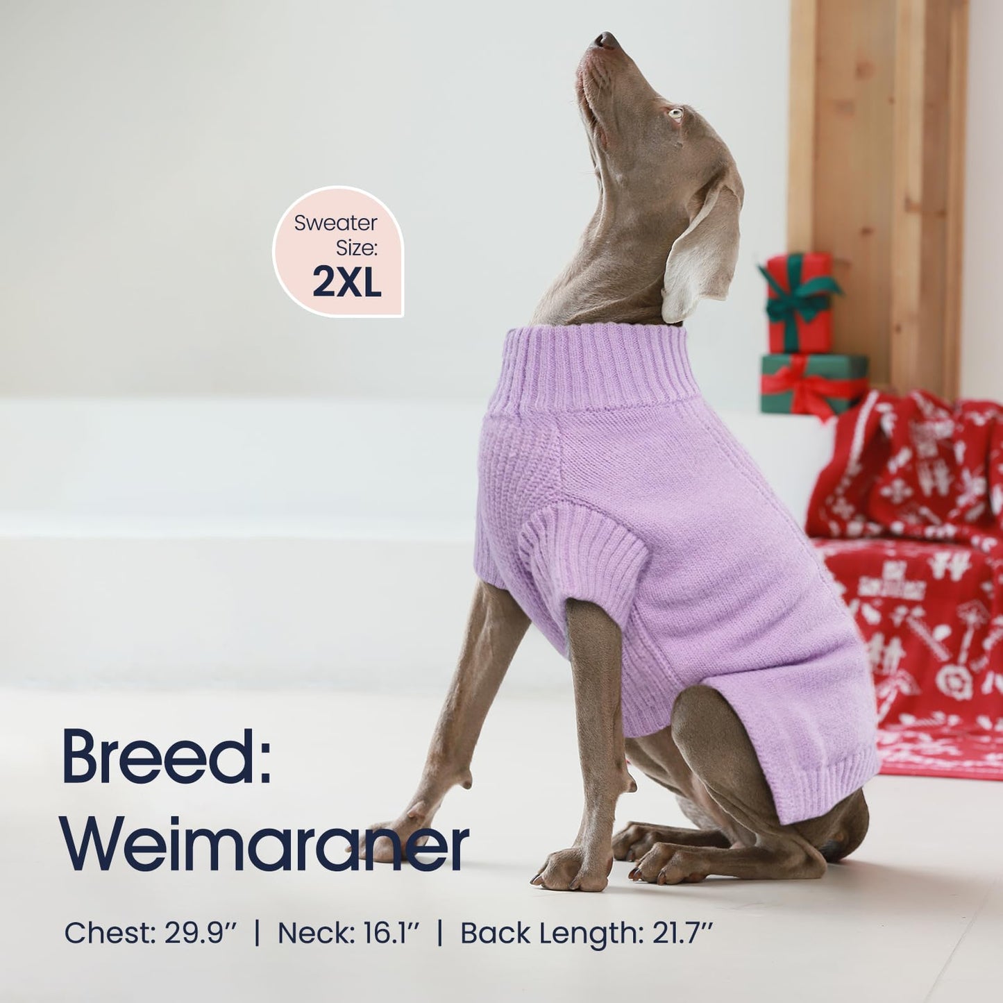 IECOii Dog Sweater โ Warm, Cozy, and Machine Washable