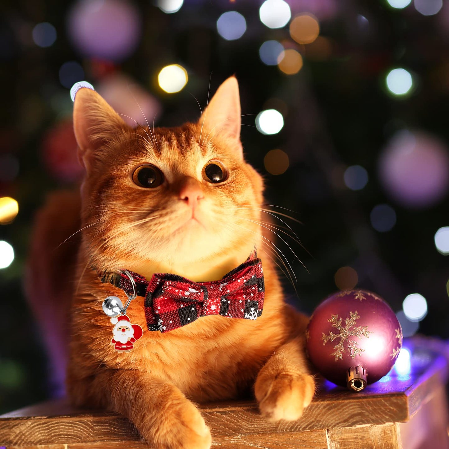 LLHK Christmas Cat Bow Tie Collar with Bell β Festive and Safe for Cats & Small Dogs