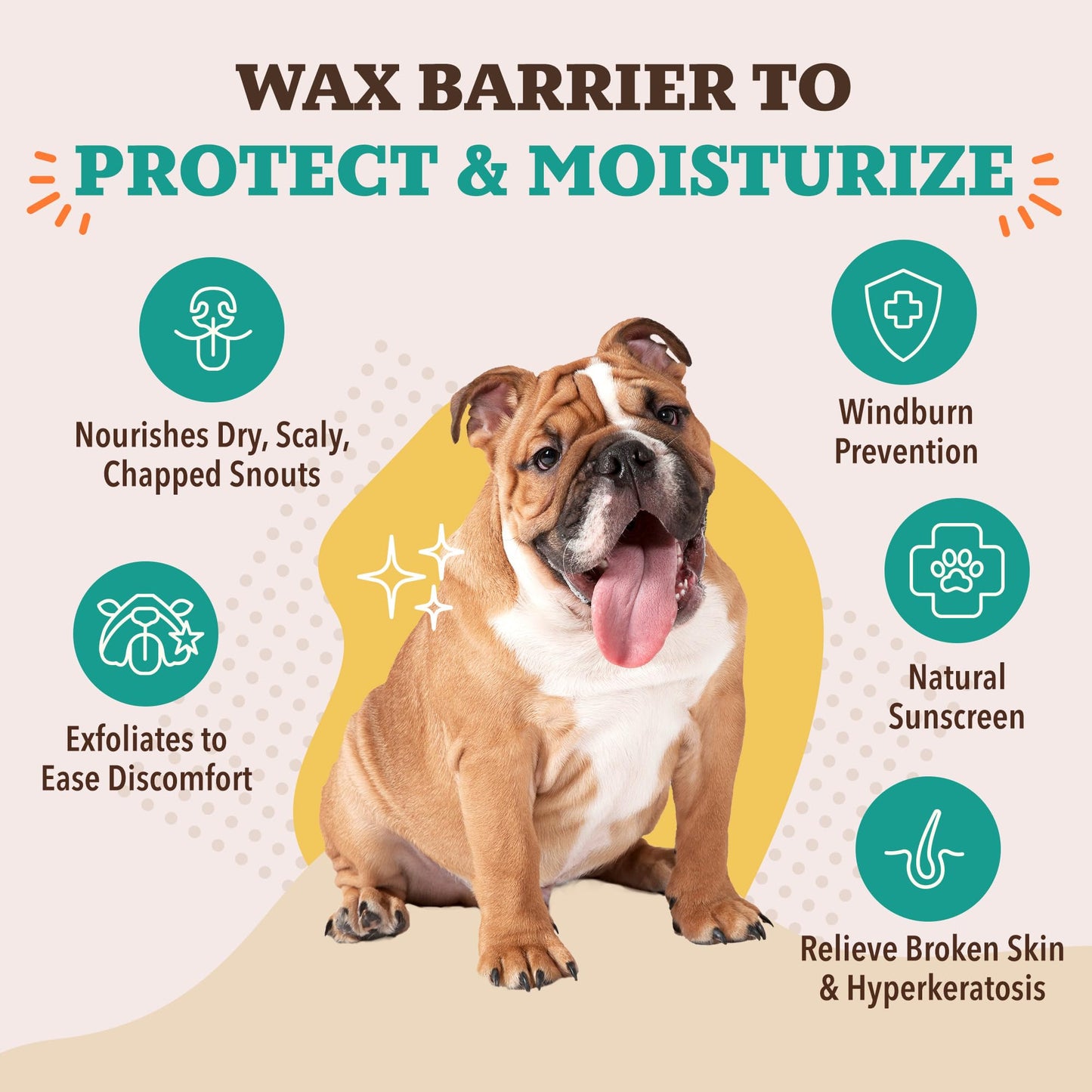 Natural Dog Company Snout Soother – Winter Protection for Your Dog’s Nose