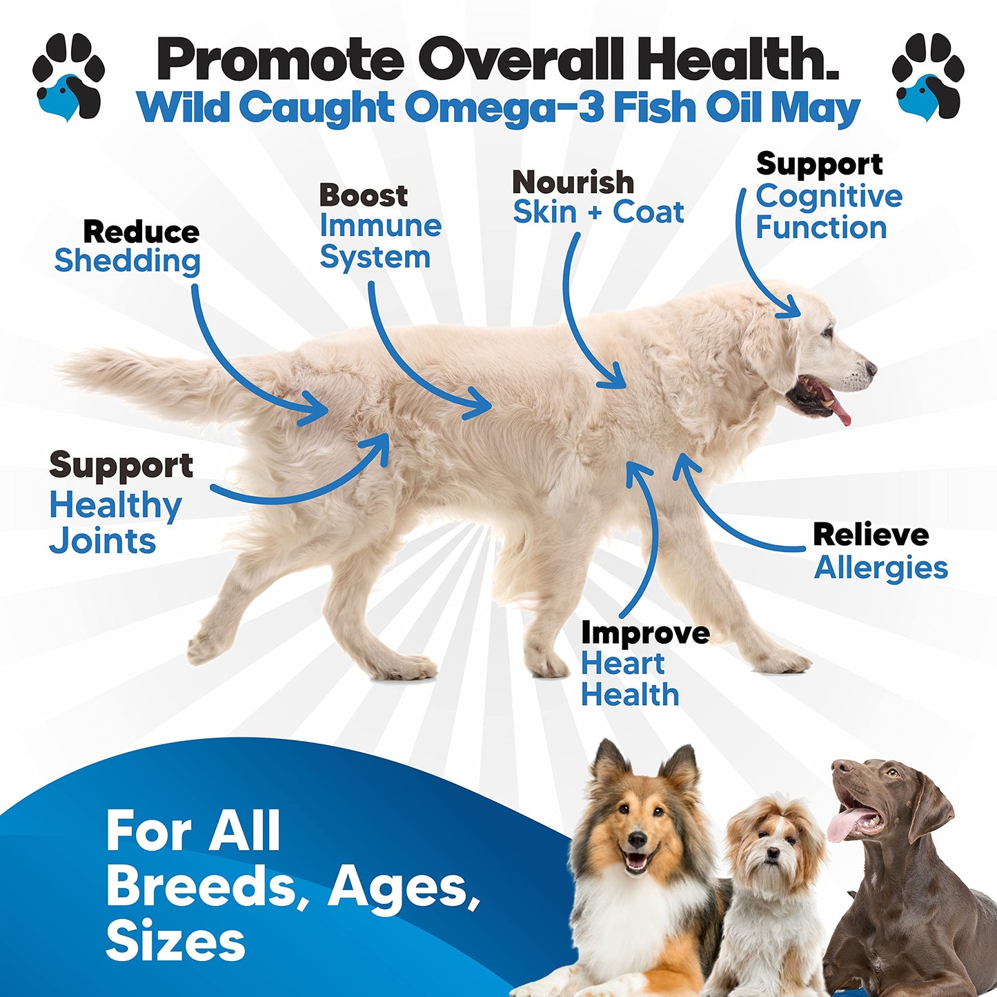 Plano Paws Wild-Caught Omega 3 for Dogs – Healthy Skin & Coat Support