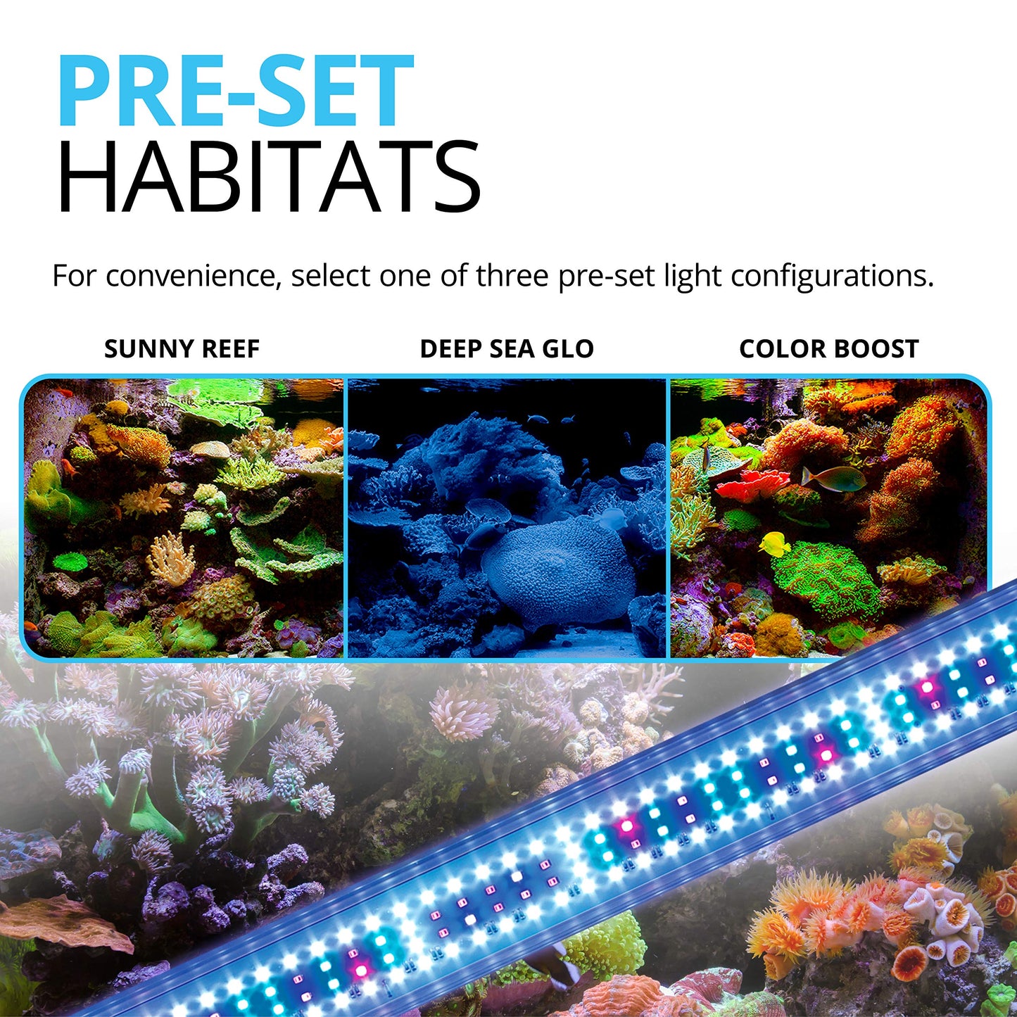 Fluval Marine & Reef Full Spectrum LED Light – Supports Coral Growth
