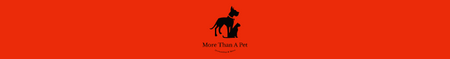 More Than A Pet - Accessories & More