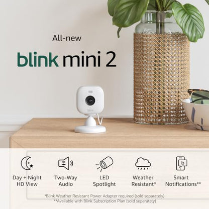Blink Mini 2 Smart Security Camera – Keep an Eye on Your Home and Pets
