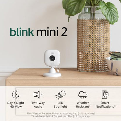 Blink Mini 2 Smart Security Camera – Keep an Eye on Your Home and Pets
