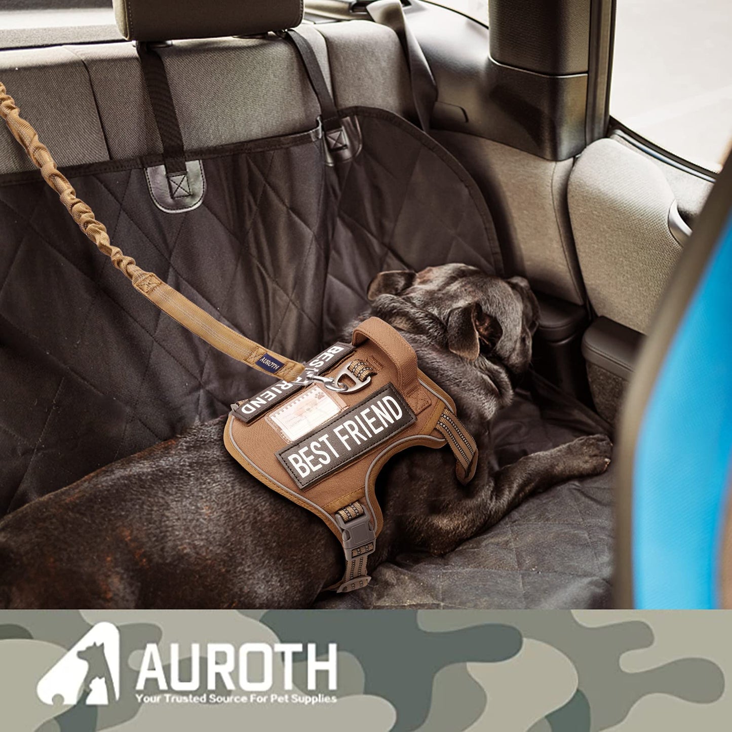 AUROTH Heavy-Duty Bungee Dog Leash – Dual Handles & Reflective