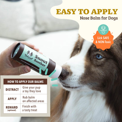 Natural Dog Company Snout Soother – Winter Protection for Your Dog’s Nose