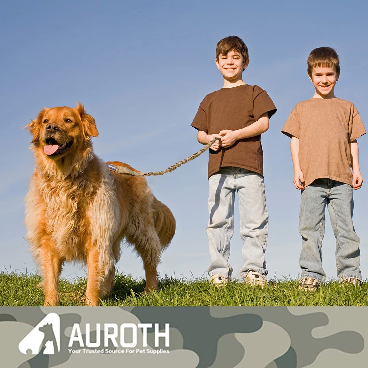 AUROTH Heavy-Duty Bungee Dog Leash – Dual Handles & Reflective