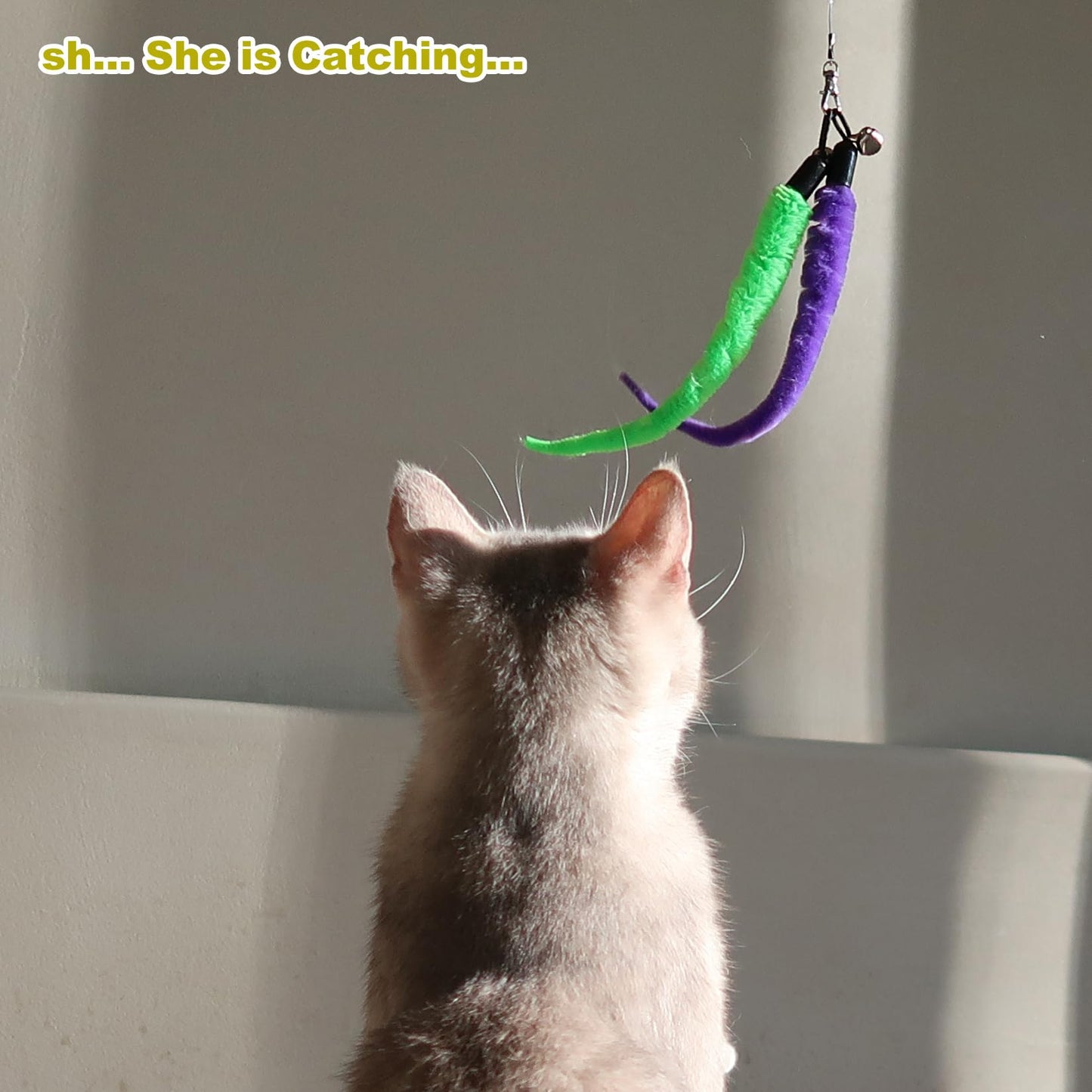 MeoHui Interactive Cat Wand Toy – Endless Fun for Cats
