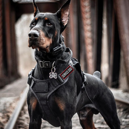 Pistha Tactical Dog Harness Patches – Customizable & Durable