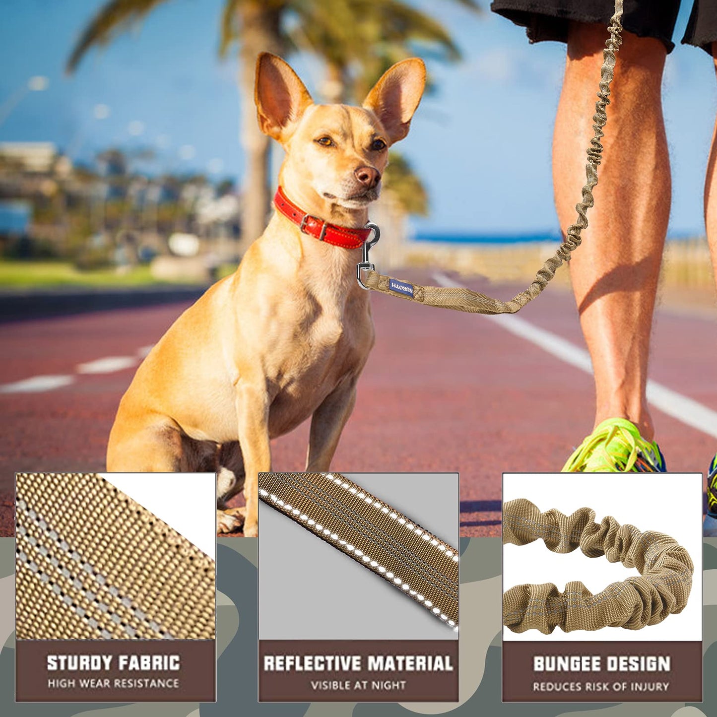 AUROTH Heavy-Duty Bungee Dog Leash – Dual Handles & Reflective