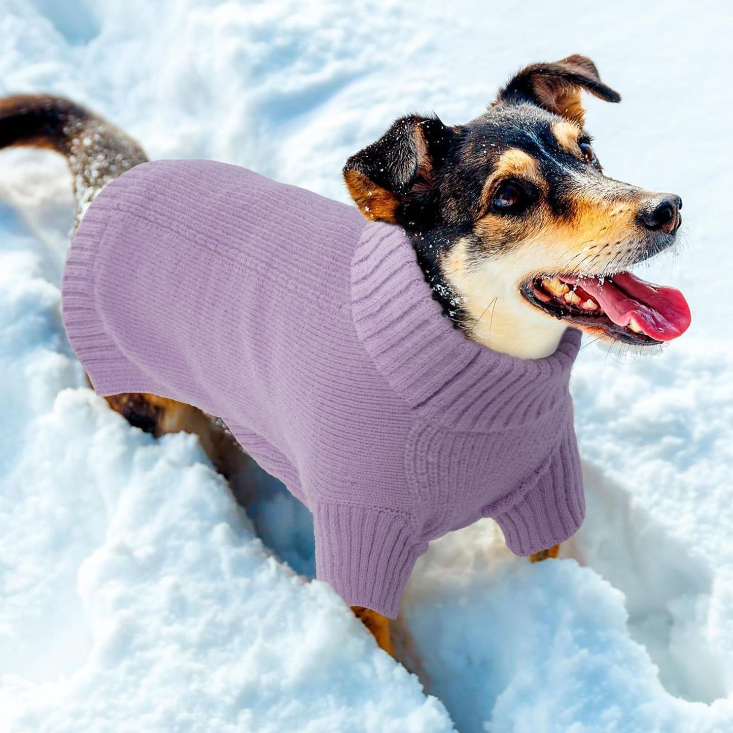 IECOii Dog Sweater – Warm, Cozy, and Machine Washable