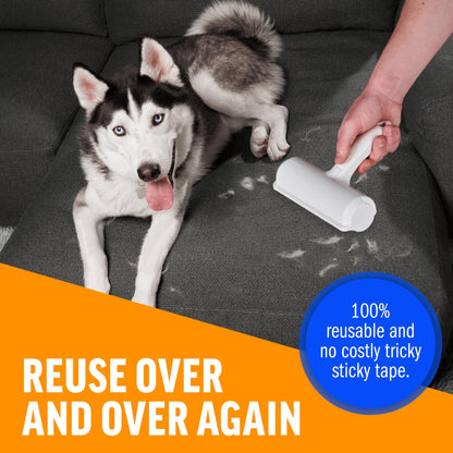 ChomChom Roller – The Ultimate Pet Hair Removal Tool
